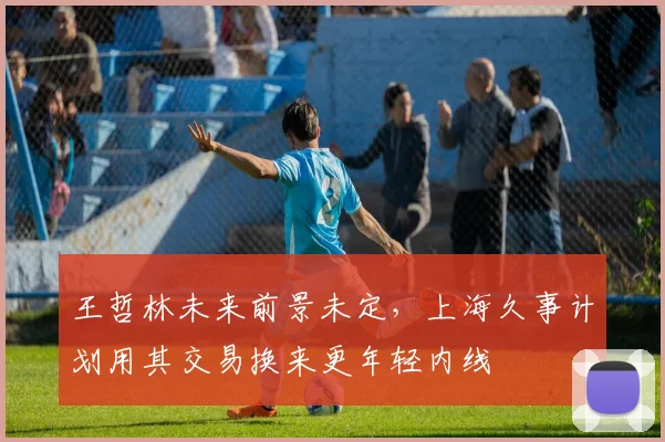 王哲林未来前景未定，上海久事计划用其交易换来更年轻内线
